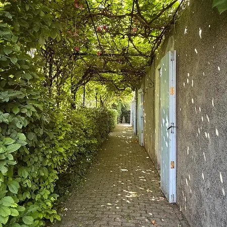 Domaine Des Roses - Rose בית נופש Tauves
